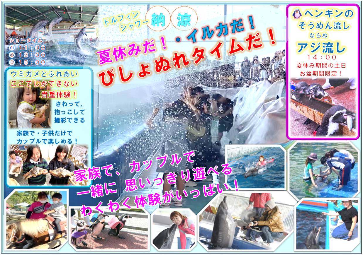 夏休み！ イルカショーを見に行こう！ ワクワク体験がいっぱい！